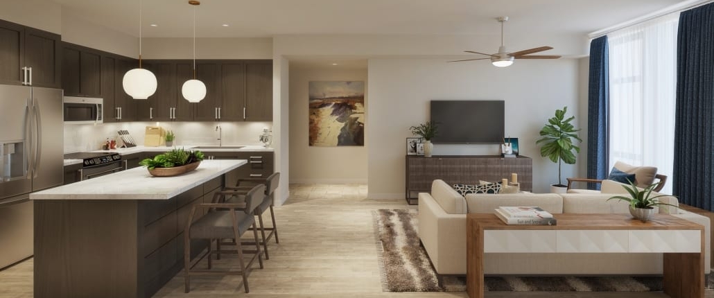 image of living room and kitchen