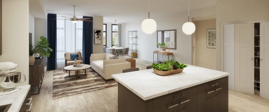 image of kitchen and living room