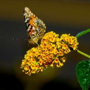 will-klinzman-oaCD9WYdNlU-unsplash
